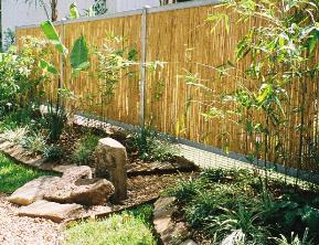 Bamboo Fence with Garden 