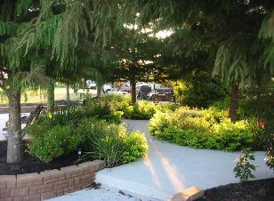 Backyard Garden with Trees